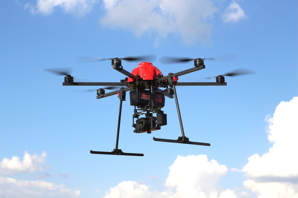 Agricultura Sustentável